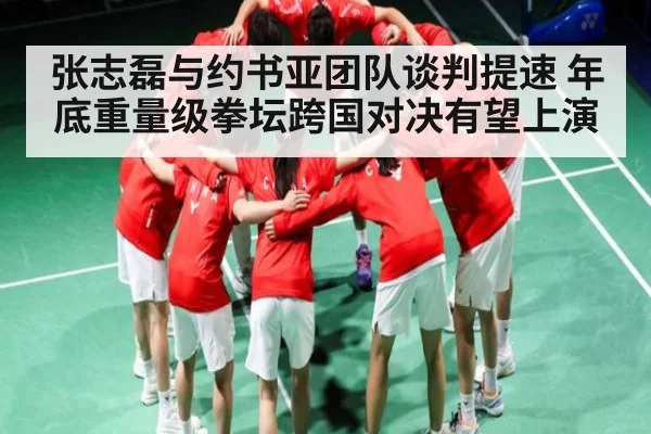 张志磊与约书亚团队谈判提速 年底重量级拳坛跨国对决有望上演